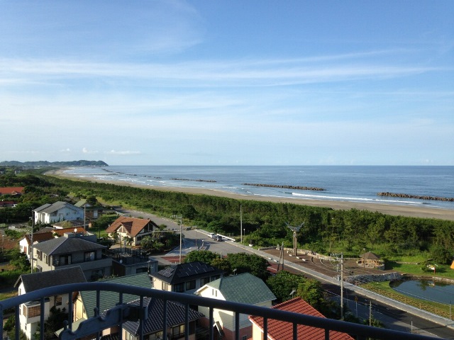 サンフラワー大原